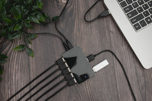 Bild von Digitus USB 2.0 Hub, 10-Port