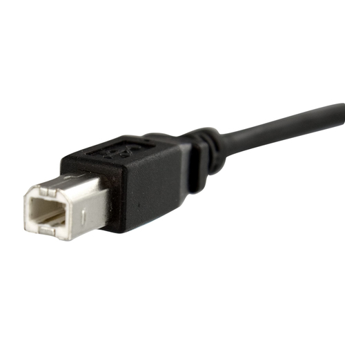 Bild von StarTech.com 30 cm USB B auf B Kabel zur Slotbelch Montage – Buchse/Stecker