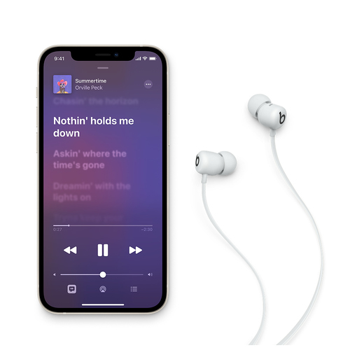 Bild von Apple Flex Kopfhörer Kabellos im Ohr Anrufe/Musik Bluetooth Grau