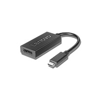 Bild von Lenovo 4X90Q93303 Videokabel-Adapter 0,2 m USB Typ-C DisplayPort Schwarz