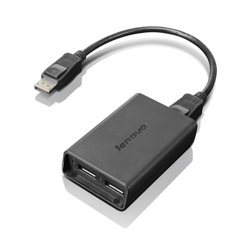 Bild von Lenovo DisplayPort to Dual-DisplayPort Monitor Cable USB A Schwarz