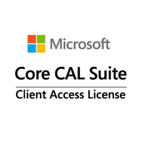 MICROSOFT OVL-GOV Core CAL All Lng License/Software Assurance Pk 1 License Platform User CAL 1Y-Y2