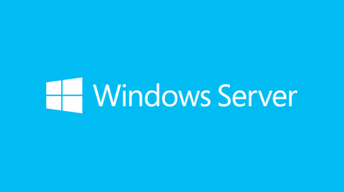 MICROSOFT Windows Server 2019 User CAL 5 Benutzer (DE)