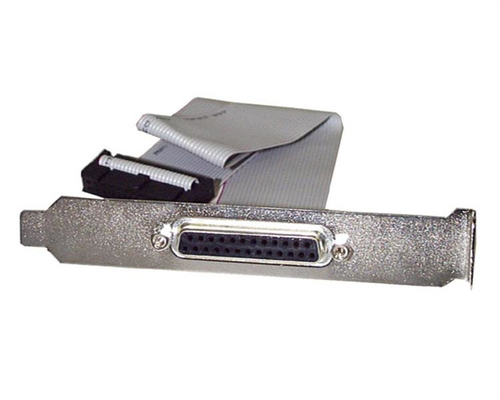 Bild von StarTech.com 40cm DB25 Parallel Buchse auf IDC 25 Pin Header Slotblech