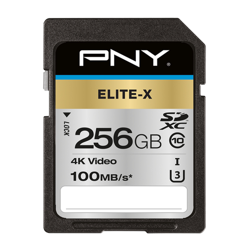 MICRO SD ELITE-X HC 256GB