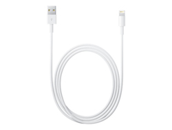Bild von Apple Lightning - USB 2 m Weiß